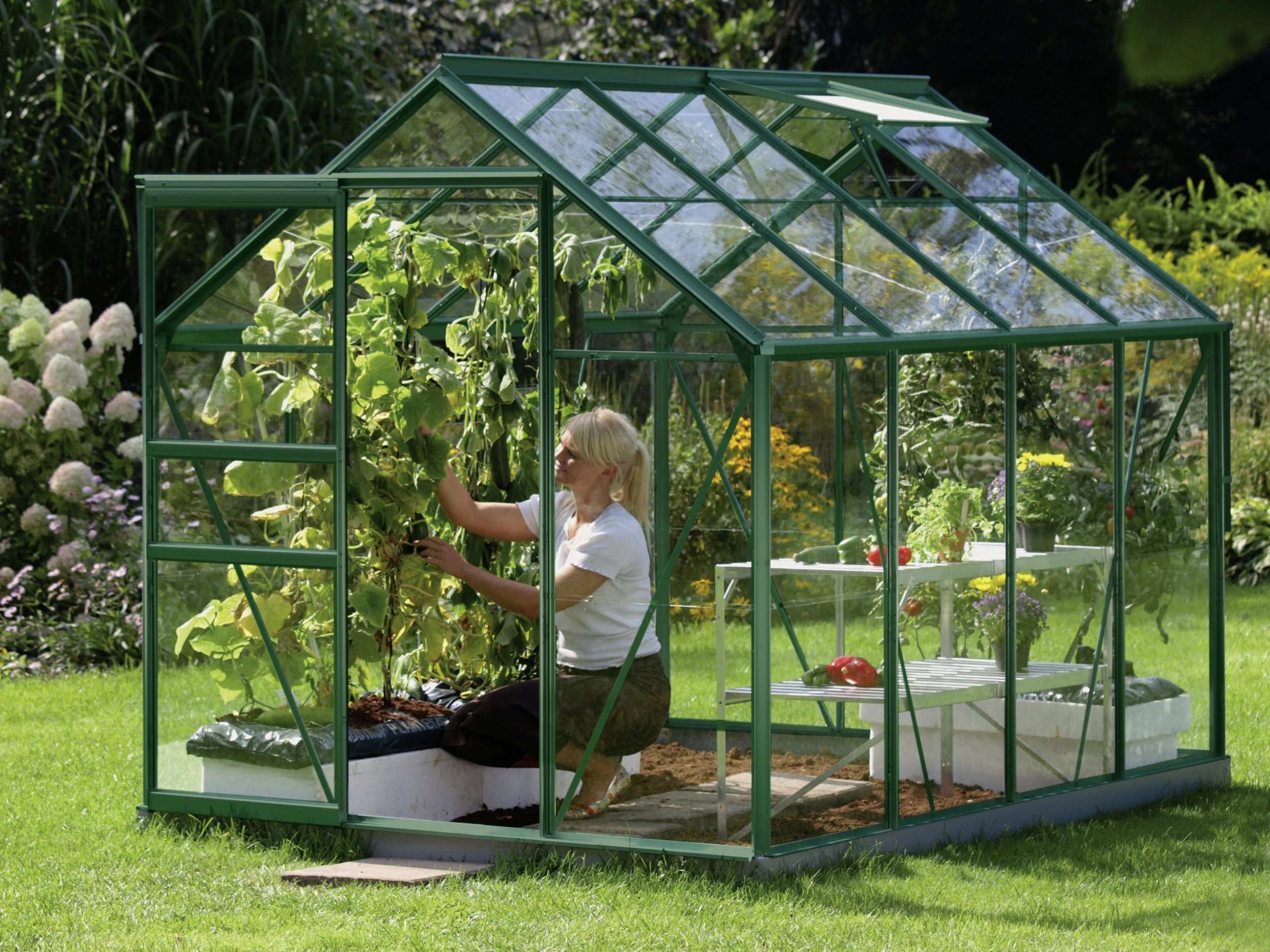 Vitavia Gewächshaus Venus 5000 192 x 254 cm smaragd 3 mm Sicherheitsglas Vitavia Gewächshaus Venus 5000 192 X 254 Cm Smaragd 3 Mm Sicherheitsglas -Vitavia Speichern 4005717005269 1189280 scaled