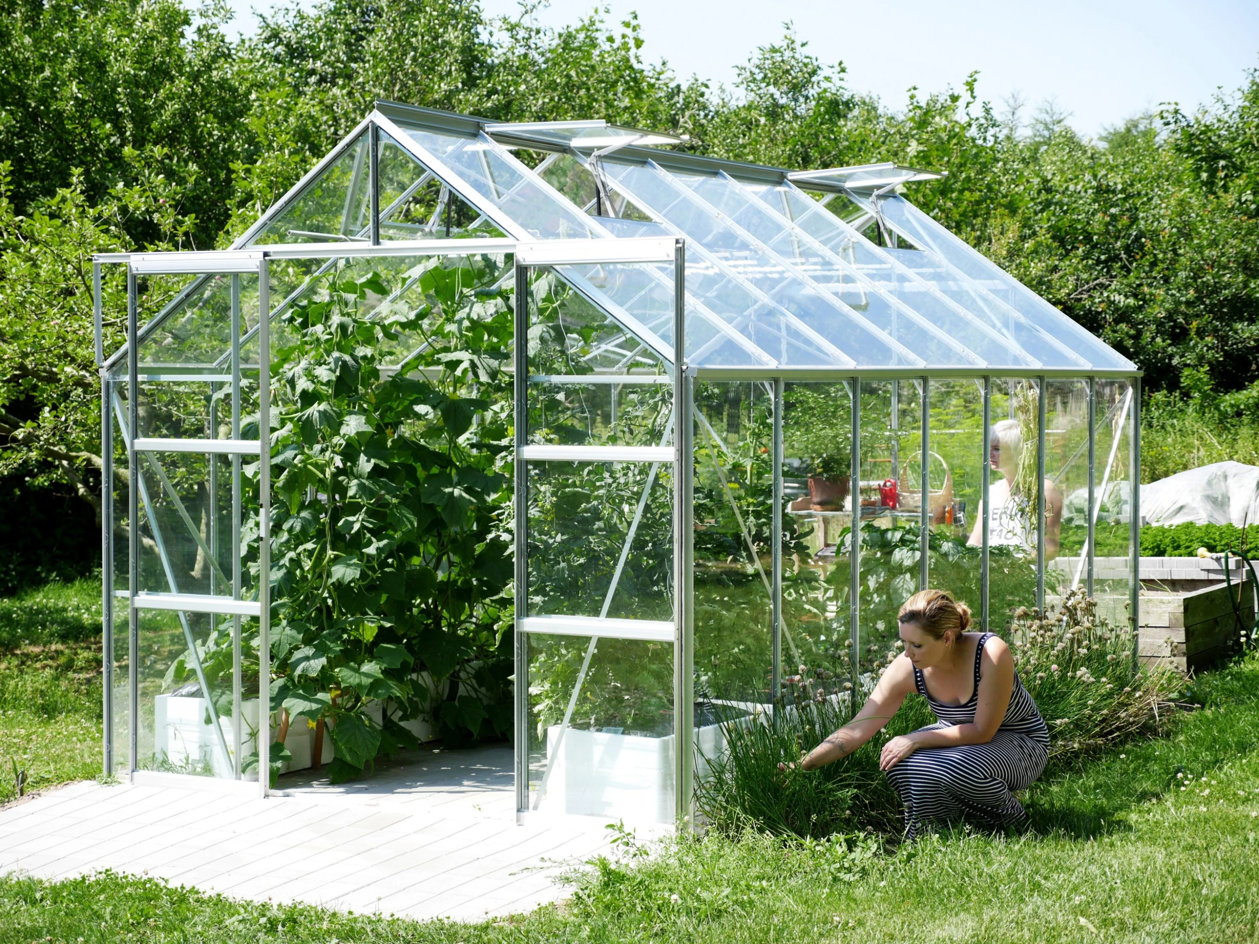 Vitavia Gewächshaus Uranus 11500 254 x 441 cm aluminium 3 mm Sicherheitsglas Vitavia Gewächshaus Uranus 11500 254 X 441 Cm Aluminium 3 Mm Sicherheitsglas -Vitavia Speichern 4005717056407 2604505 scaled