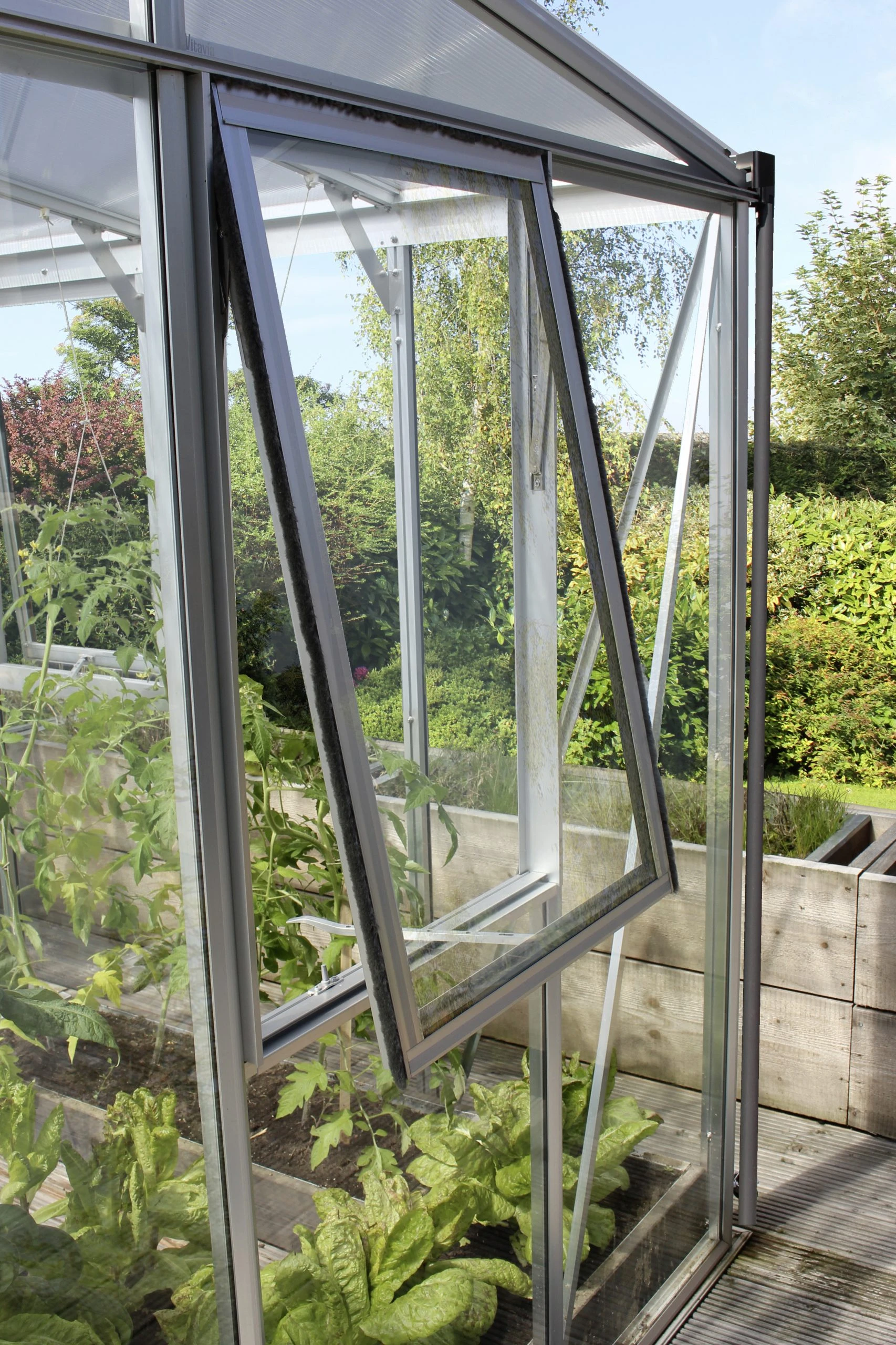 Vitavia Seitenfenster H zu Gewächshaus Helena Aphrodite aluminium Vitavia Seitenfenster H Zu Gewächshaus Helena Aphrodite Aluminium -Vitavia Speichern 4005717181468 1189839 scaled