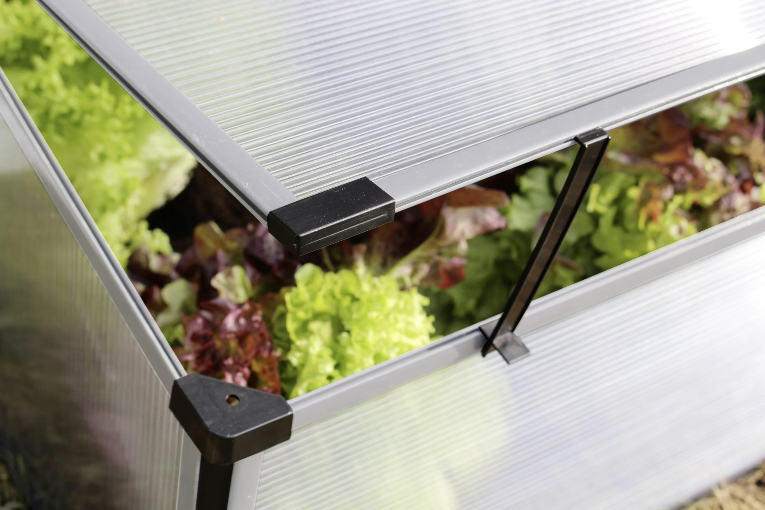 Vitavia Frühbeet Levana 2 55 x 95 cm kiesel Vitavia Frühbeet Levana 2 55 X 95 Cm Kiesel -Vitavia Speichern 4005717182069 1189382 scaled