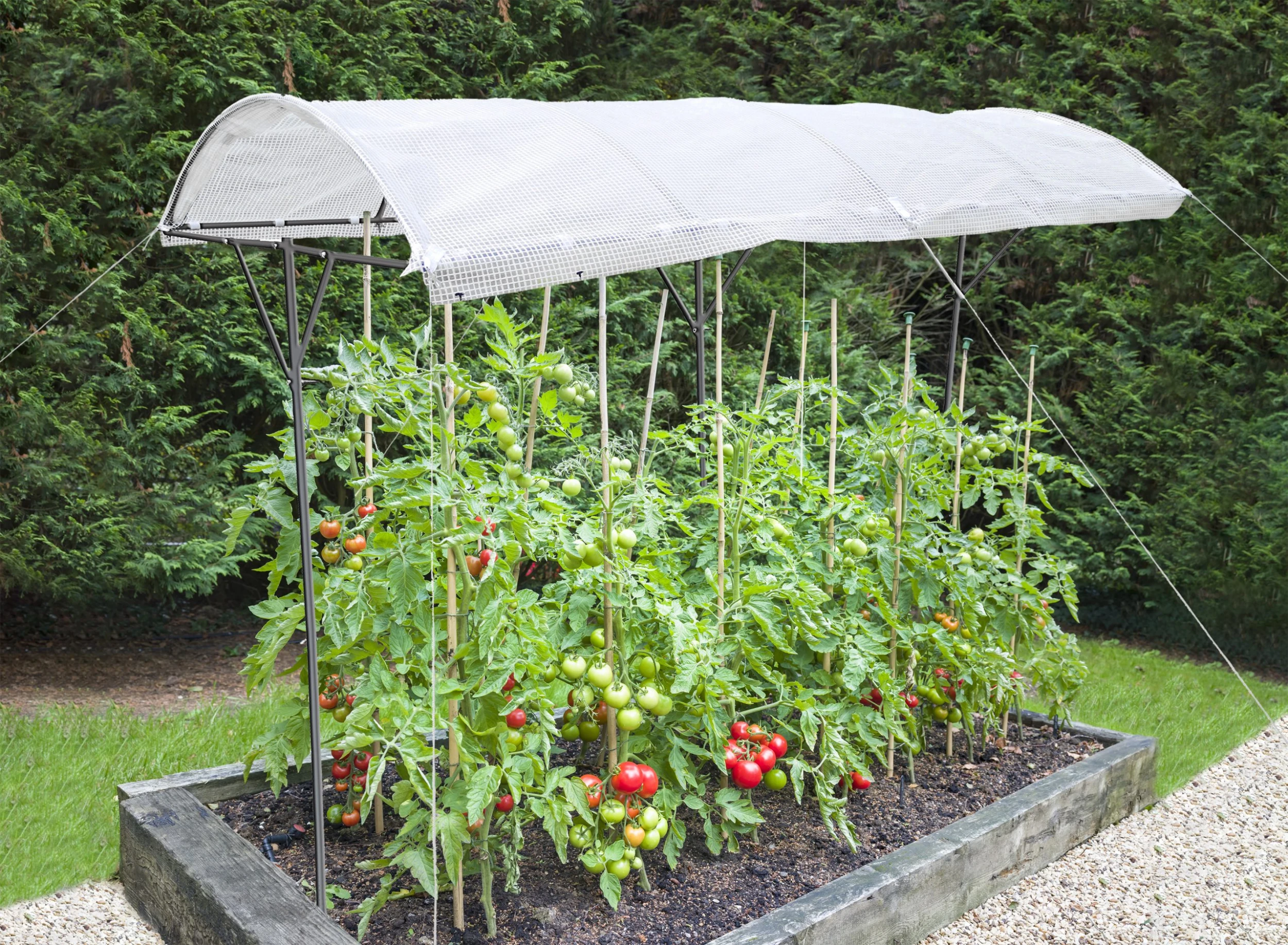 TrendLine Tomatenschutzdach ca. 200 x 112 x 80/180 cm TrendLine Tomatenschutzdach Ca. 200 X 112 X 80/180 Cm -Vitavia Speichern 4021831040375 02 scaled