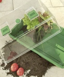 Floraworld Indoor-Gewächshaus Grün 38 X 24 X 18,5 Cm