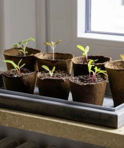 Dobar Mini-Gewächshaus Für Kräuter Mit Zinkwanne Grau 38 X 20 X 24,5 Cm 4 Dobar Mini-Gewächshaus Für Kräuter Mit Zinkwanne Grau 38 X 20 X 24,5 Cm -Vitavia Speichern 4055894291689 3169691 scaled