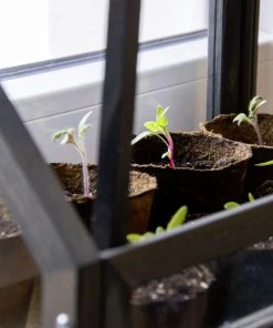 Dobar Mini-Gewächshaus Für Kräuter Mit Zinkwanne Grau 38 X 20 X 24,5 Cm 5 Dobar Mini-Gewächshaus Für Kräuter Mit Zinkwanne Grau 38 X 20 X 24,5 Cm -Vitavia Speichern 4055894291689 3169692 scaled