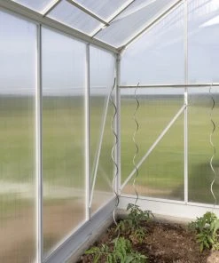 Westmann Gewächshaus Dorado 314 X 190 X 214 Cm 5 Westmann Gewächshaus Dorado 314 X 190 X 214 Cm -Vitavia Speichern 4260280772653 2611900