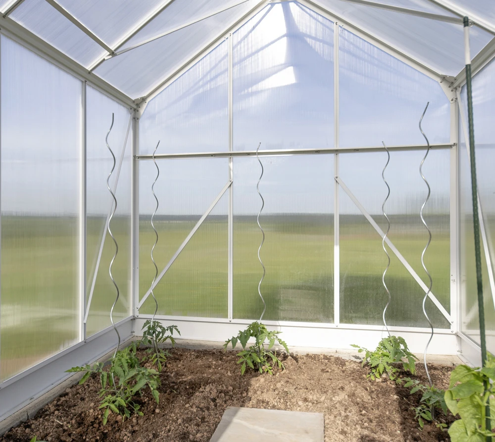 Westmann Gewächshaus Dorado 314 x 190 x 214 cm Westmann Gewächshaus Dorado 314 X 190 X 214 Cm -Vitavia Speichern 4260280772653 2611902