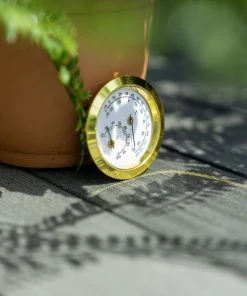 Vitavia Hygrometer -Vitavia Speichern 5703774318481 2495881 scaled