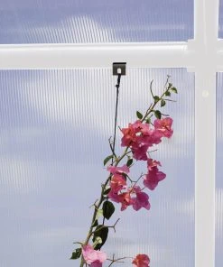 Rion Befestigungshaken Passend Zu Jedem Rion Gewächshaus, 10 Stück 4 Rion Befestigungshaken Passend Zu Jedem Rion Gewächshaus, 10 Stück -Vitavia Speichern 7290103121433 2613237