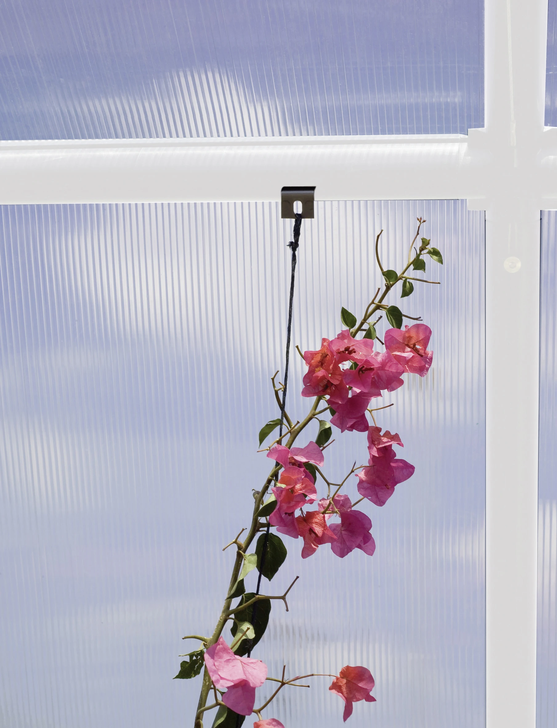 Rion Befestigungshaken passend zu jedem Rion Gewächshaus, 10 Stück Rion Befestigungshaken Passend Zu Jedem Rion Gewächshaus, 10 Stück -Vitavia Speichern 7290103121433 2613237